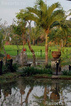 The Chedi Club boutique 46